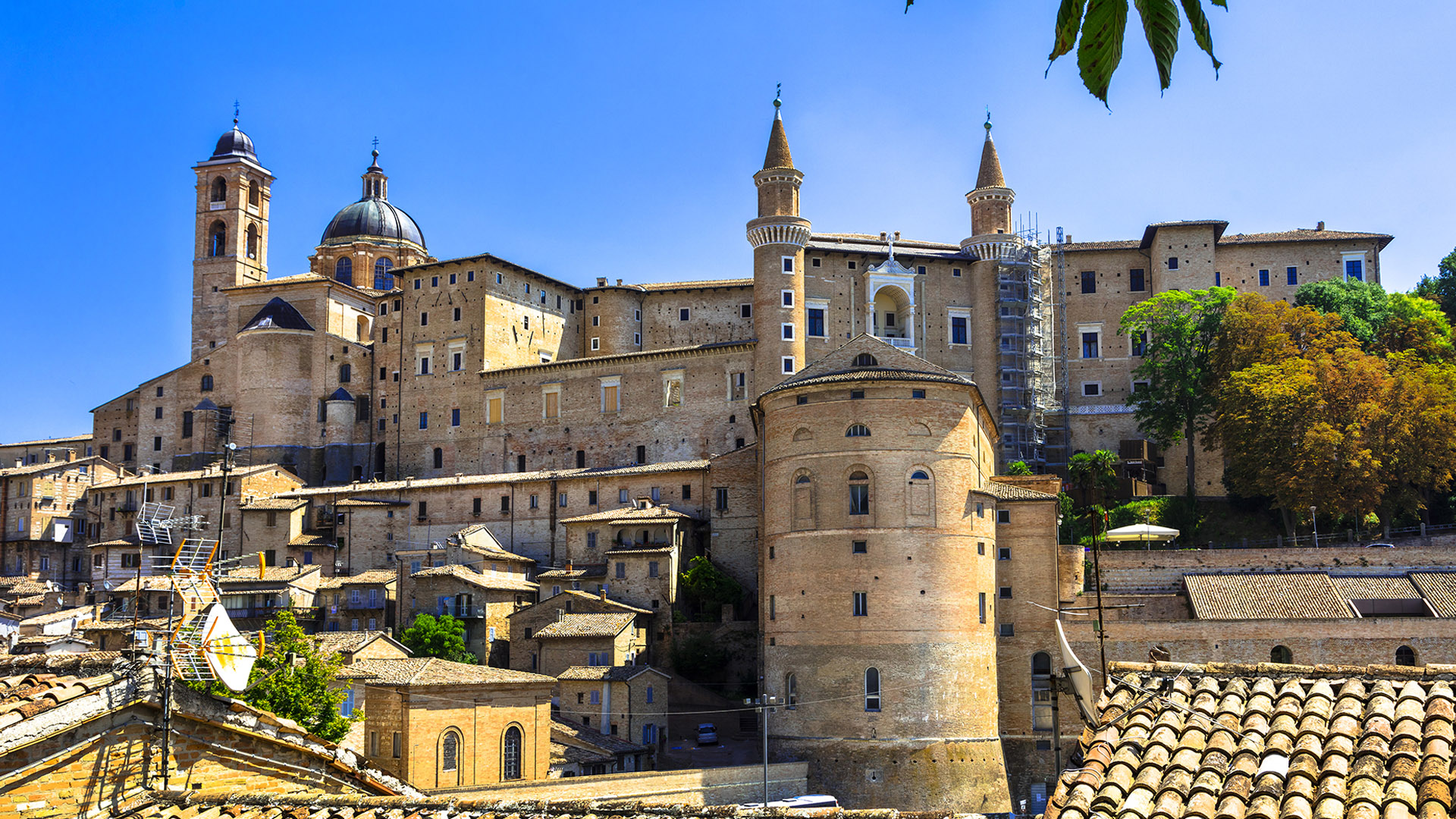 Urbino